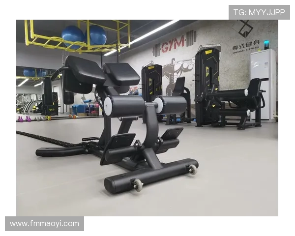 选择什么牌子的健身器材最好?品牌推荐与产品评测