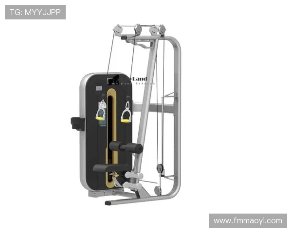 高位下拉器材品牌推荐,助你打造完美背部肌肉