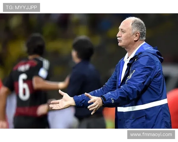 回顾巴西队2014世界杯的辉煌与惨痛教训九球之殇记忆与反思